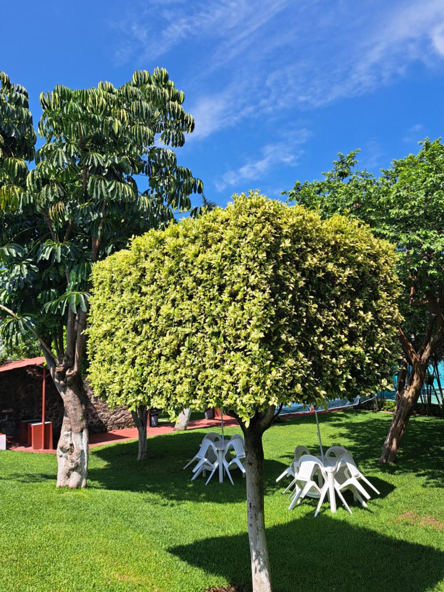 Hotel Quinta Paraiso Cocoyoc Exterior photo